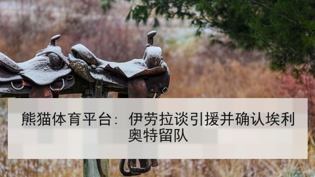 熊猫体育平台: 伊劳拉谈引援并确认埃利奥特留队 熊猫体育平台: 伊劳拉谈引援并确认埃利奥特留队